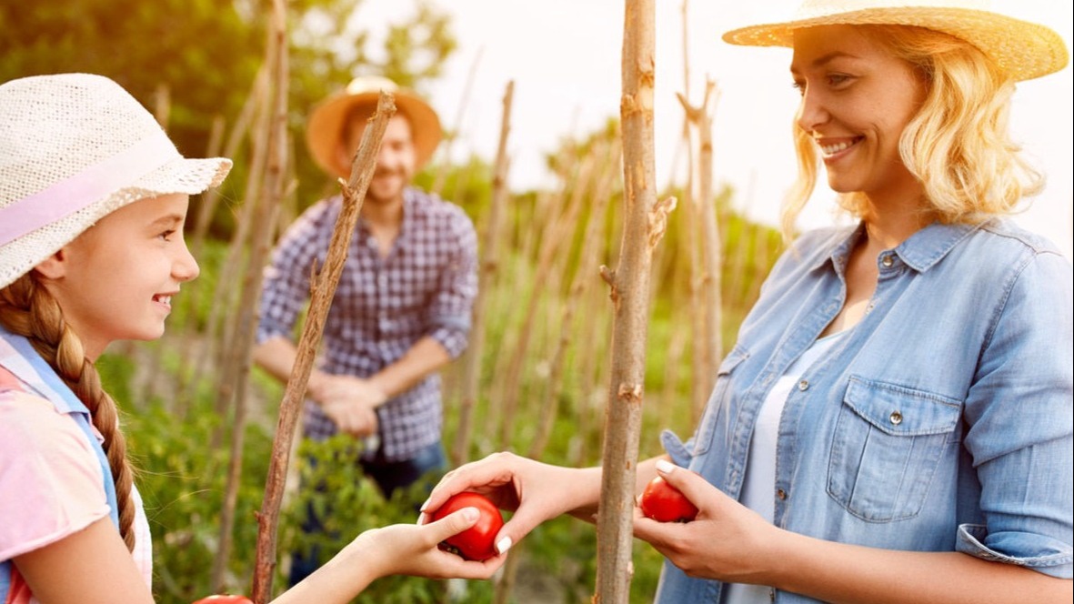 La transparence alimentaire