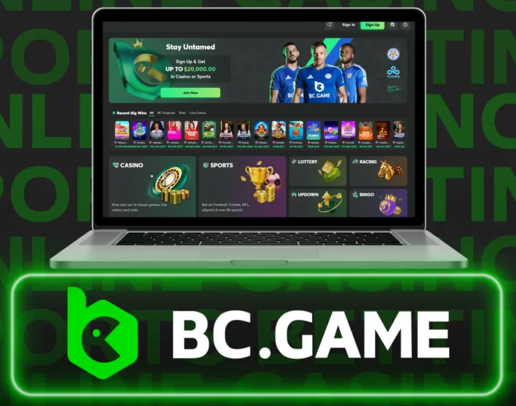 The Thrilling Realm of Bc.Game Betting World