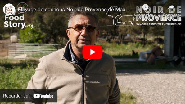 Max Tortel, éleveur de cochon Noir de Provence